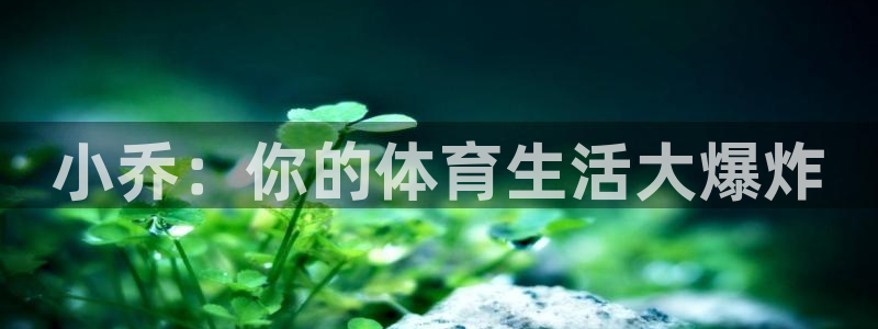 919直播体育：小乔：你的体育生活大爆炸