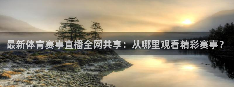 919直播：最新体育赛事直播全网共享：从哪里观看精彩赛事？