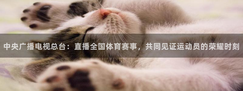 919体育在线直播官网：中央广播电视总台：直播全国体育赛事，共同见证运动员的荣耀时刻