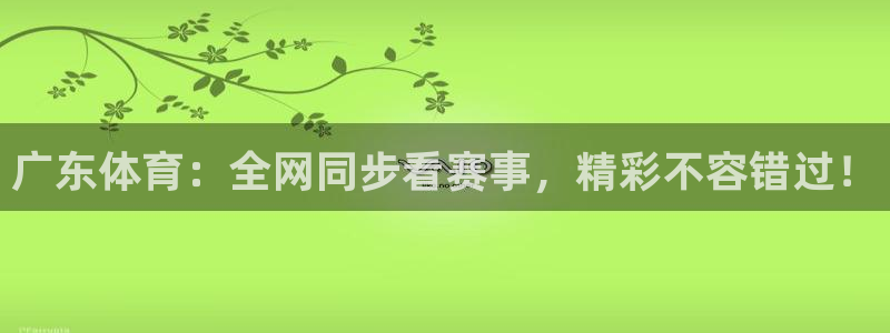 919体育直播间：广东体育：全网同步看赛事，精彩不容错过！
