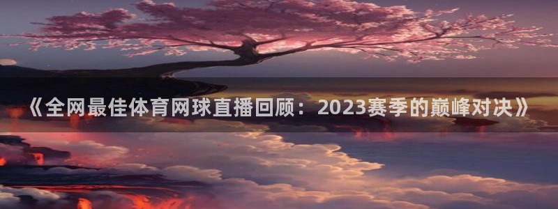 919直播官网：《全网最佳体育网球直播回顾：2023赛季的巅峰对决》