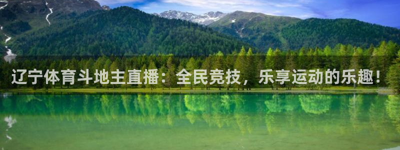919看球软件：辽宁体育斗地主直播：全民竞技，乐享运动的乐趣！