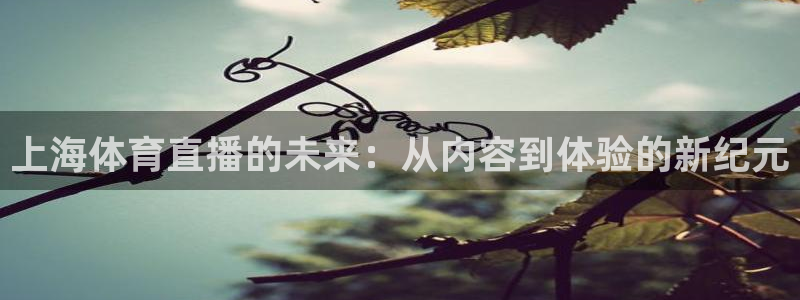 919直播看球在线观看：上海体育直播的未来：从内容到体验的新纪元