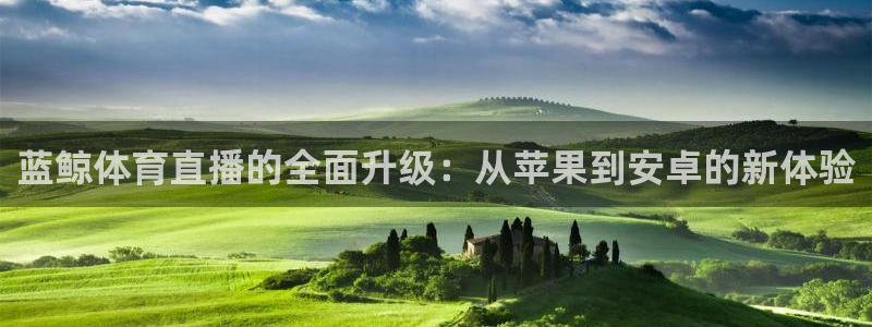 919体育直播安卓版：蓝鲸体育直播的全面升级：从苹果到安卓的新体验