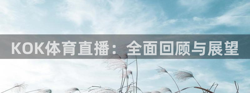 nba直播919：KOK体育直播：全面回顾与展望