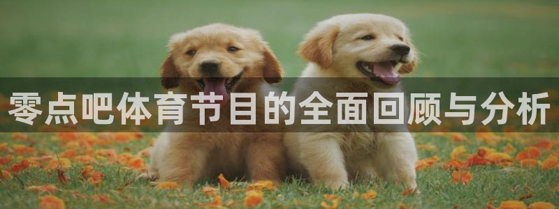 919体育直播苹果版：零点吧体育节目的全面回顾与分析